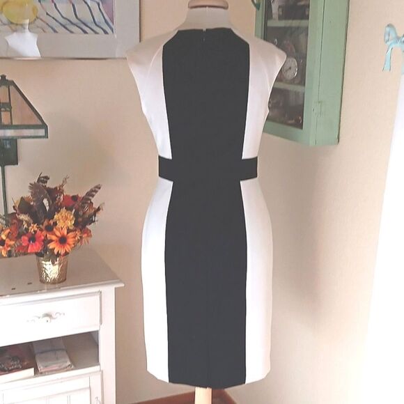 Calvin Klein Colorblock Dress - Picture 5 of 10